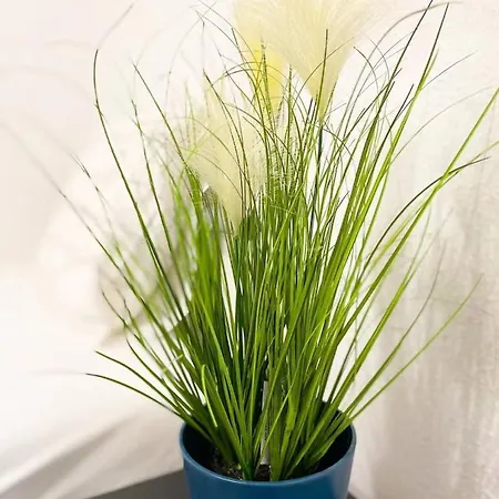 Lejlighed Downtown Andrassy Budapest