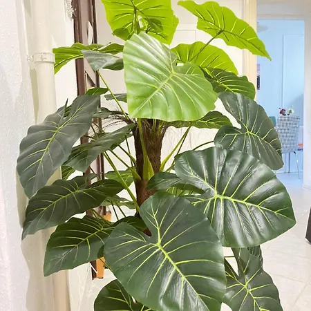 Lejlighed Downtown Andrassy Budapest