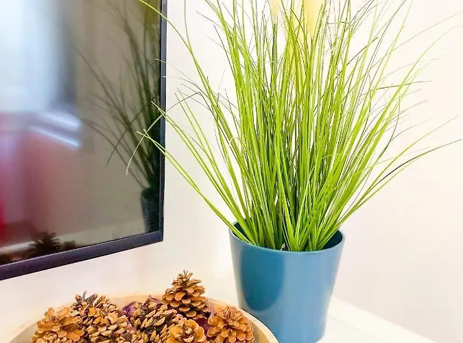 Apartmán Downtown Andrassy *