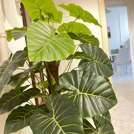 Downtown Andrassy 부다페스트