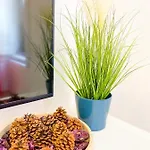 Apartman Downtown Andrassy *